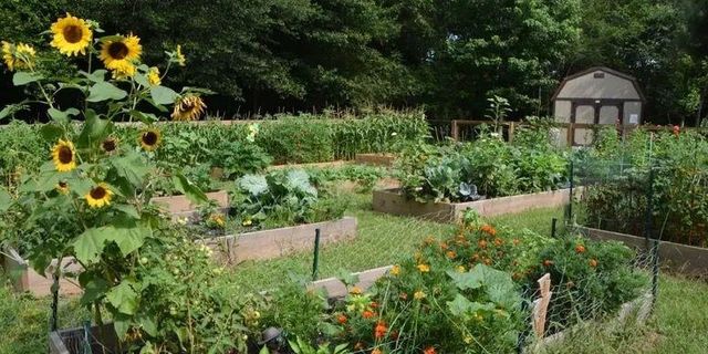 8515 Lake Drive, Snellville, GA 30039