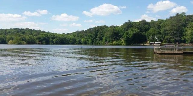 8515 Lake Drive, Snellville, GA 30039