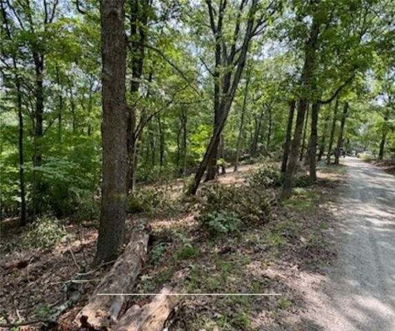 TBD Bel Lago Drive, Eureka Springs, AR 72632