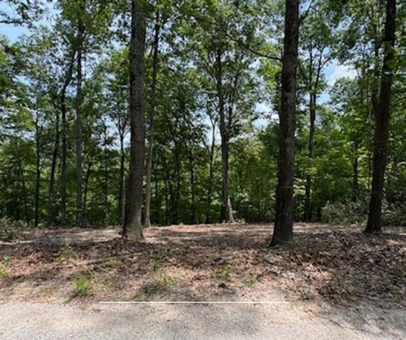 TBD Bel Lago Drive, Eureka Springs, AR 72632