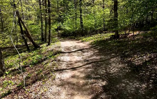 TBD Bel Lago Drive, Eureka Springs, AR 72632