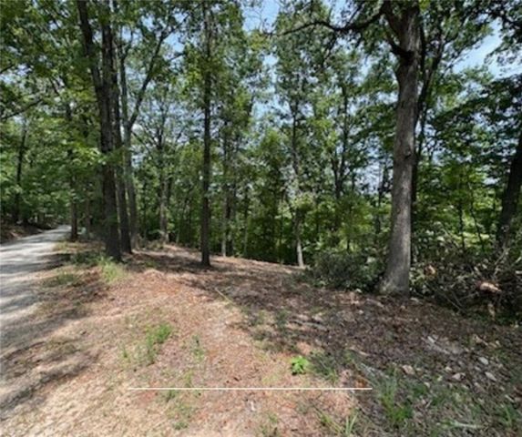 TBD Bel Lago Drive, Eureka Springs, AR 72632