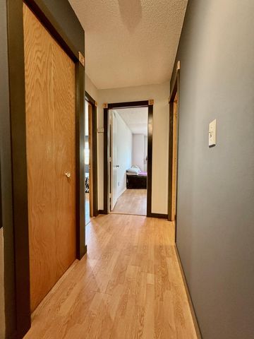 13161 Meadowood Way NW 123, Coon Rapids, MN 55448