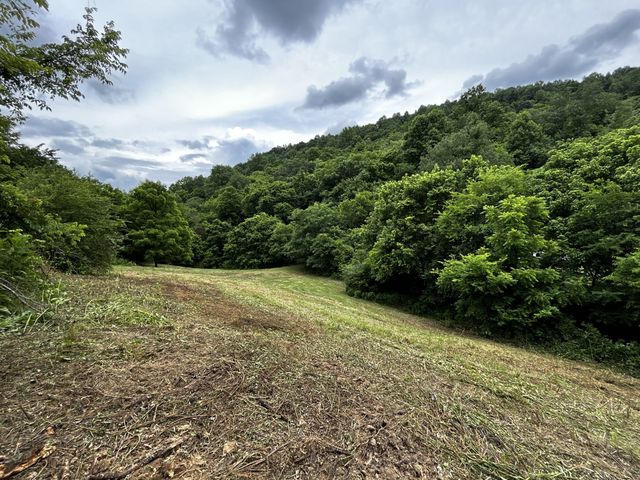 98 Hackett Valley Rd, Hickman, TN 38567