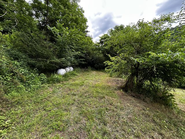 98 Hackett Valley Rd, Hickman, TN 38567