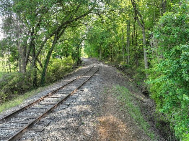 6.74 AC Doxol Street, Blue Ridge, GA 30513