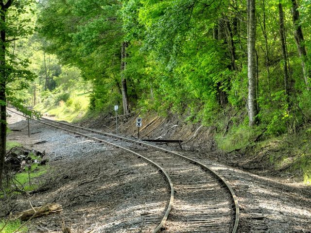 6.74 AC Doxol Street, Blue Ridge, GA 30513