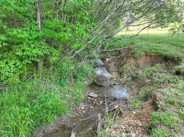 6.74 AC Doxol Street, Blue Ridge, GA 30513