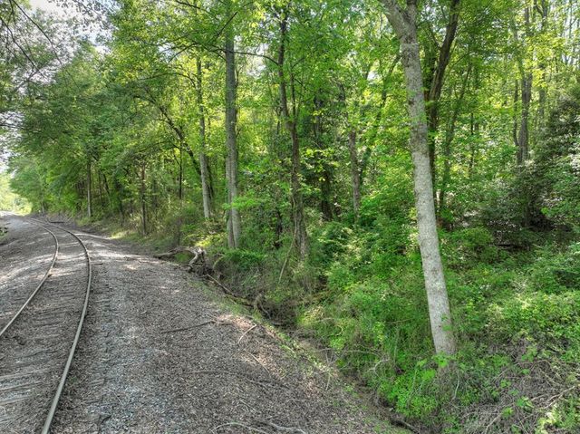 6.74 AC Doxol Street, Blue Ridge, GA 30513