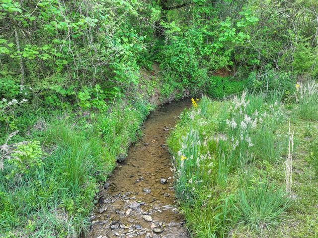 6.74 AC Doxol Street, Blue Ridge, GA 30513