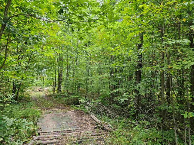4985 Wilson Road, Harrison, MI 48625