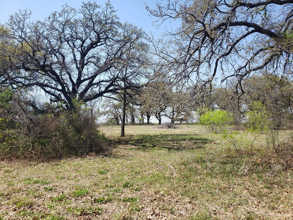 TBD CR 1990, Chico, TX 76431