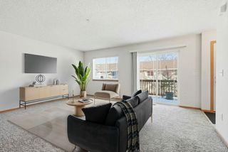 14974 Chestnut Lane, Savage, MN 55378