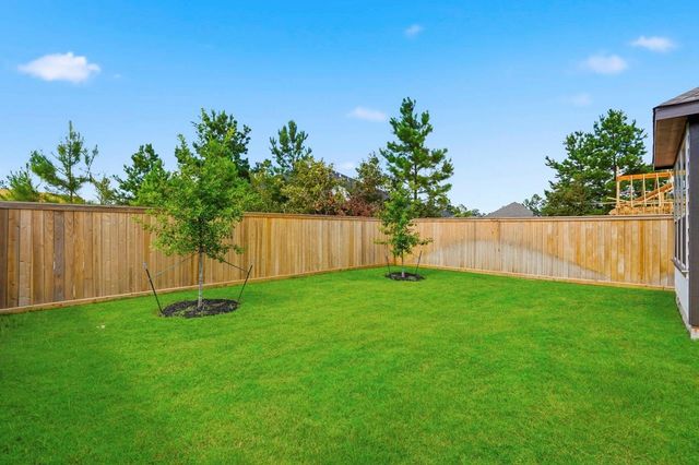 26356 Golden Pass Loop, Montgomery, TX 77316