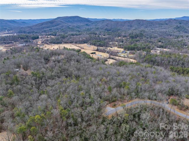 Tract 2 Turtle Ridge Trail, Mills River, NC 28759