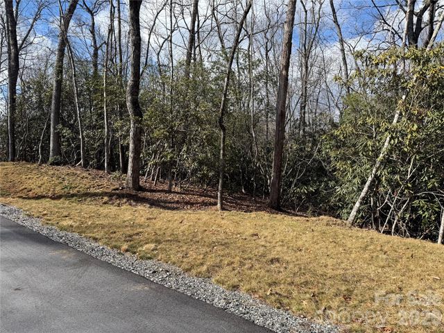 Tract 2 Turtle Ridge Trail, Mills River, NC 28759