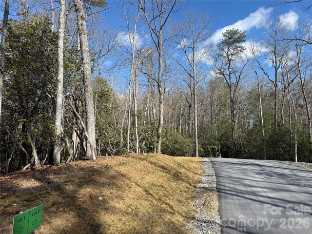 Tract 2 Turtle Ridge Trail, Mills River, NC 28759