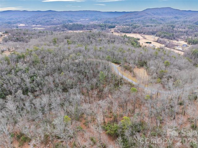 Tract 2 Turtle Ridge Trail, Mills River, NC 28759
