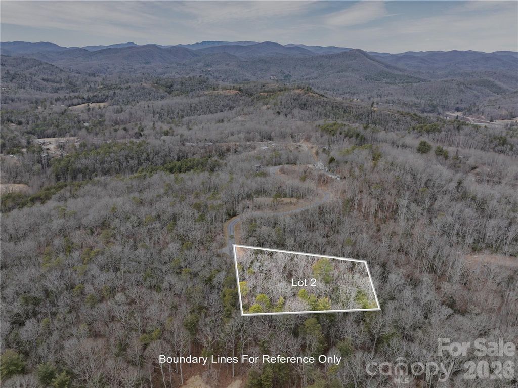 Tract 2 Turtle Ridge Trail, Mills River, NC 28759