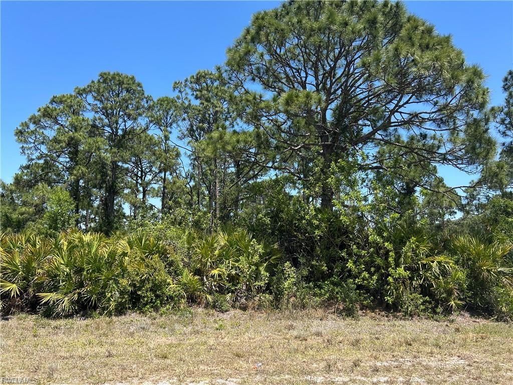 1135 Jaguar BLVD, LEHIGH ACRES, FL 33974 — photo 2