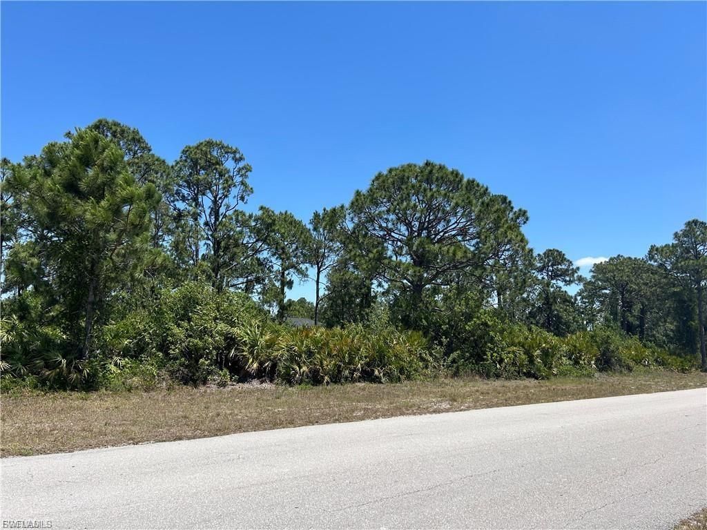 1135 Jaguar BLVD, LEHIGH ACRES, FL 33974 — photo 3