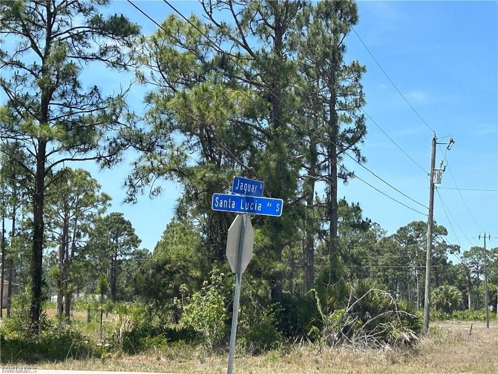 1135 Jaguar BLVD, LEHIGH ACRES, FL 33974 — photo 4