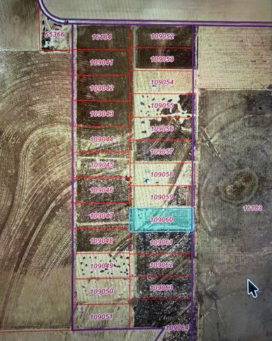 4049 Shannon Road, Ropesville, TX 79358