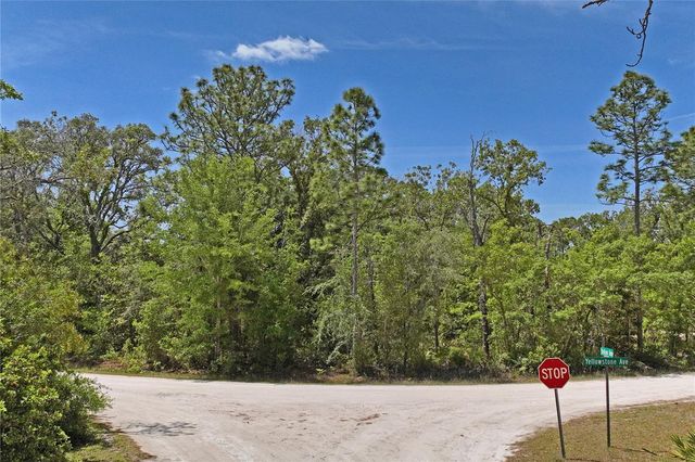 0 YELLOWSTONE AVENUE, Weeki Wachee, FL 34614