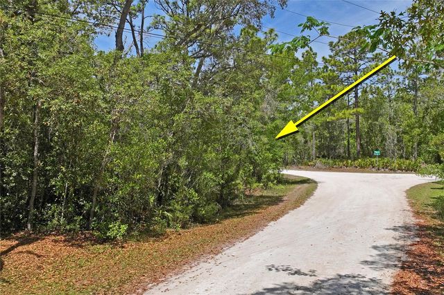 0 YELLOWSTONE AVENUE, Weeki Wachee, FL 34614