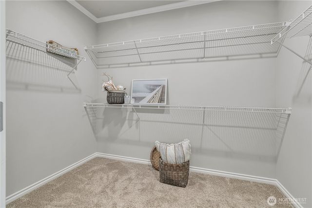 19220 5th Street E, Lake Tapps, WA 98391