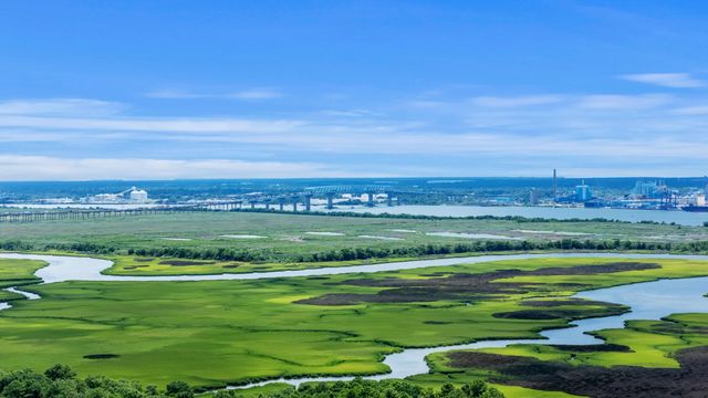 481 Jessen Lane, Wando, SC 29492