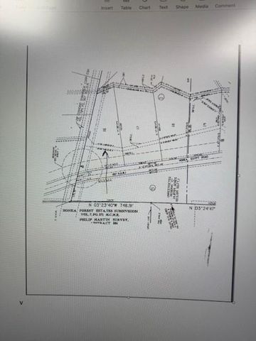 7800 Honea Egypt, Montgomery, TX 77316