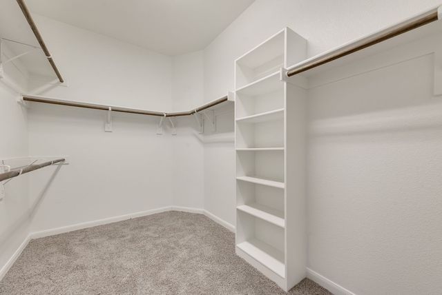 9245 Switchgrass Lane, Forney, TX 75126