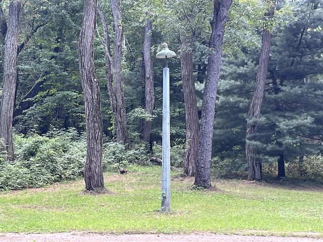 11011 Podunk Avenue, Greenville, MI 48838