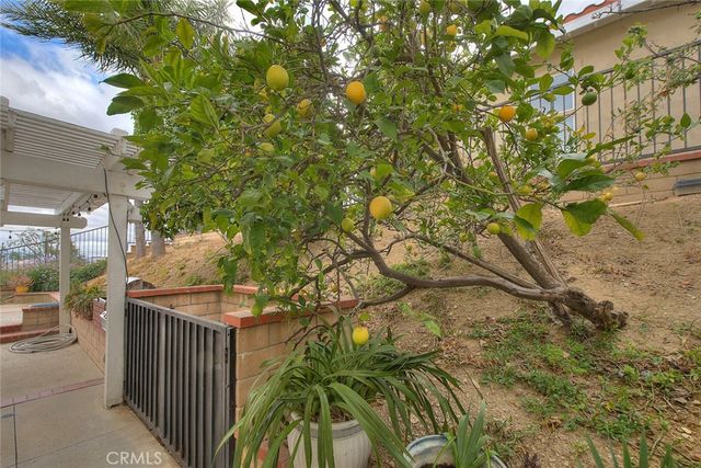 2395 Wandering Ridge, Chino Hills, CA 91709