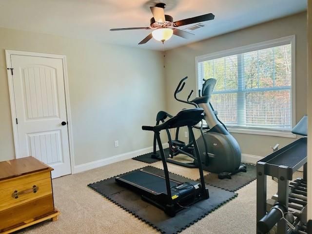 1539 Scales Creek Road, Homer, GA 30547