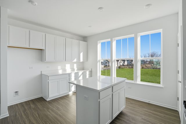 339 Settlers Place, West Dundee, IL 60118