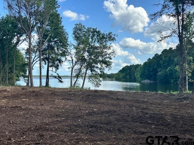Lot 72A Oak River, Frankston, TX 75763