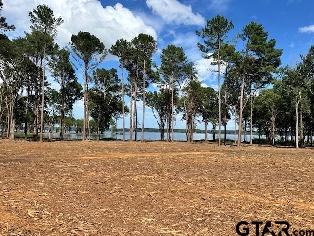 Lot 72A Oak River, Frankston, TX 75763