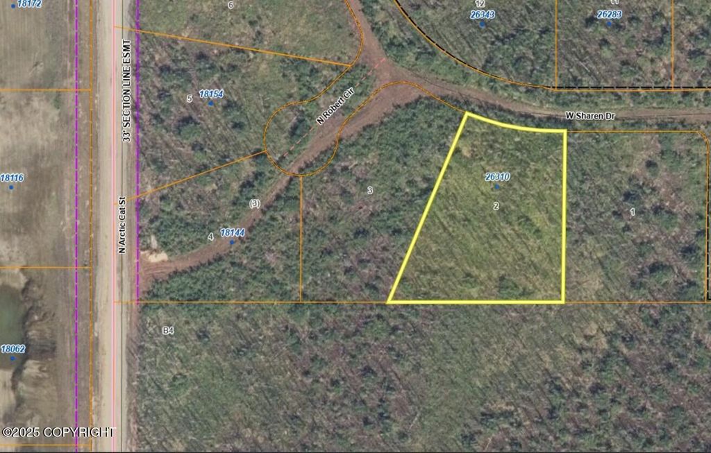 26310 W Sharen Drive, Willow, AK 99688