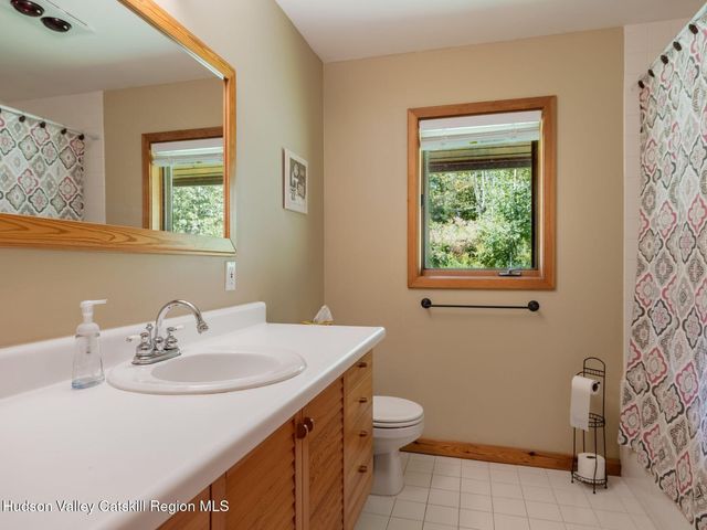 32 Blackberry Drive, Jewett, NY 12444