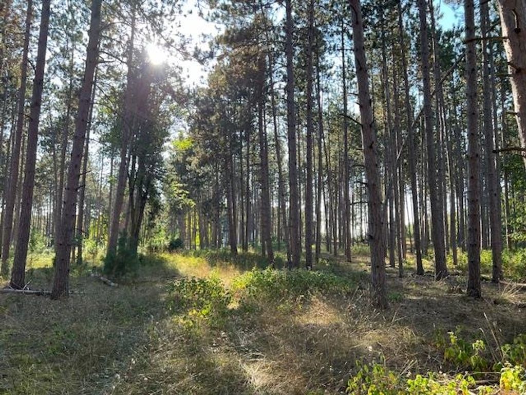 0 Samels Road, Whitewater Twp, MI 49690