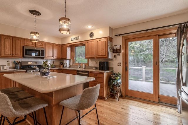 35425 Shakpays Cove Road, Kasota, MN 56050