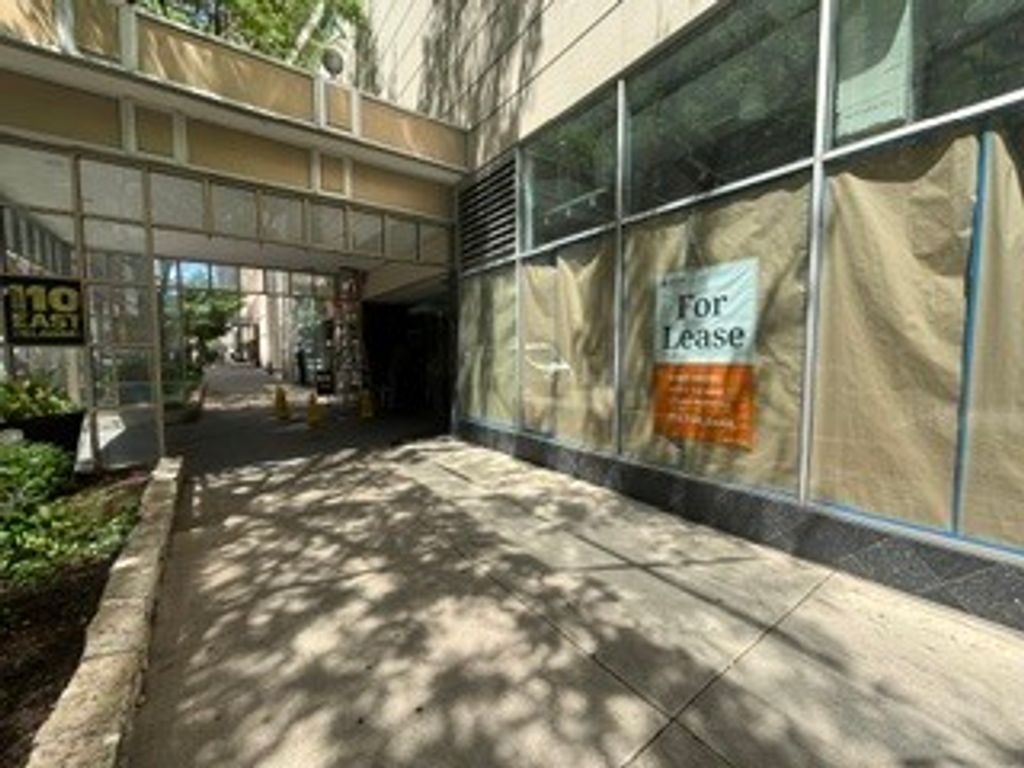 110 E Delaware Place 1702, Chicago, IL 60611