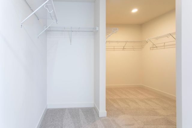 11158 Kingsview Lane N, Dayton, MN 55369