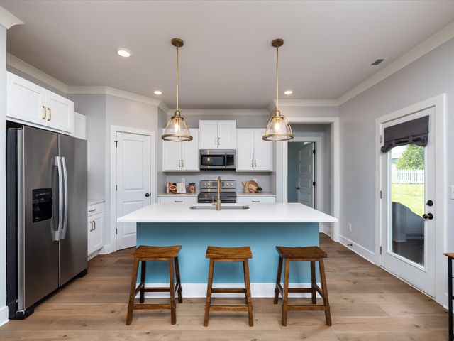 2514 Warners Ridge Dr, Chapel Hill, TN 37034
