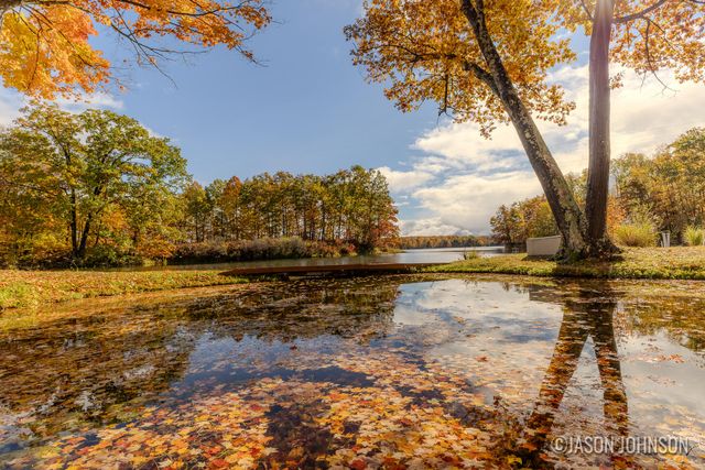 23941 Beers Road, Mesick, MI 49668