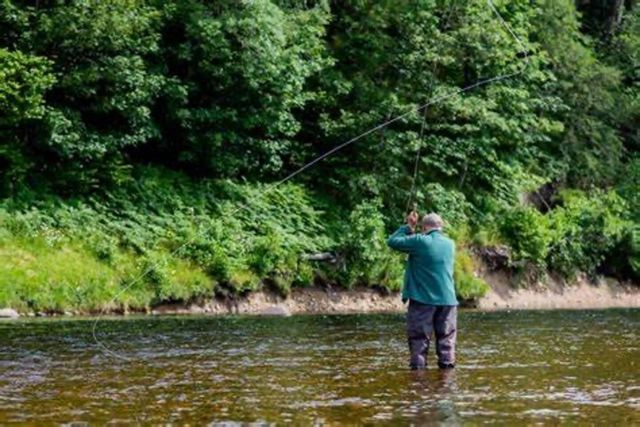 23941 Beers Road, Mesick, MI 49668