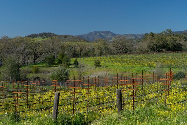 1366 Mission Dr, Sonoma, CA 95476