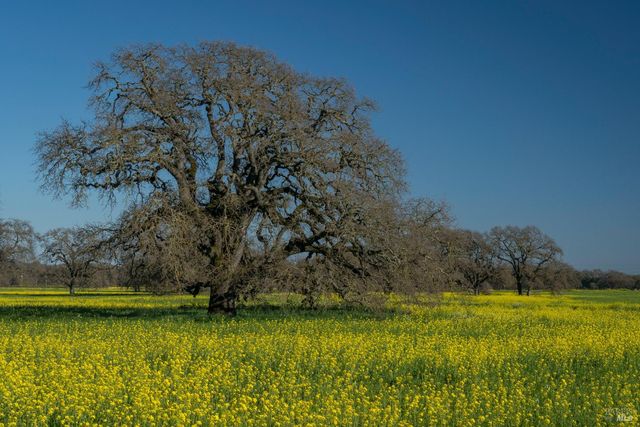 1366 Mission Dr, Sonoma, CA 95476